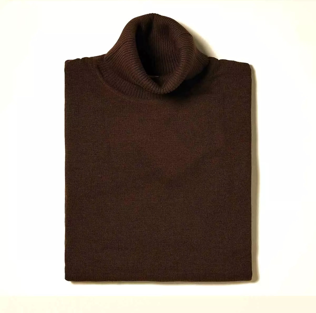 Inserch Turtleneck Sweater (Brown)