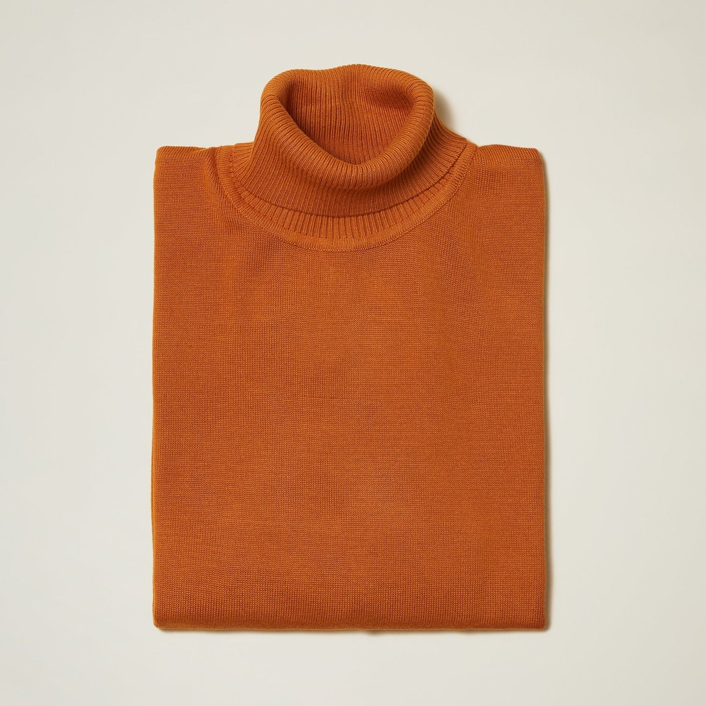 Inserch Turtleneck Sweater (Rust)