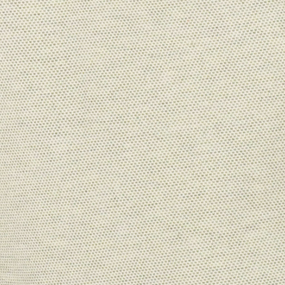 Vinci Regular Fit Textured Weave Blazer (Light Green)